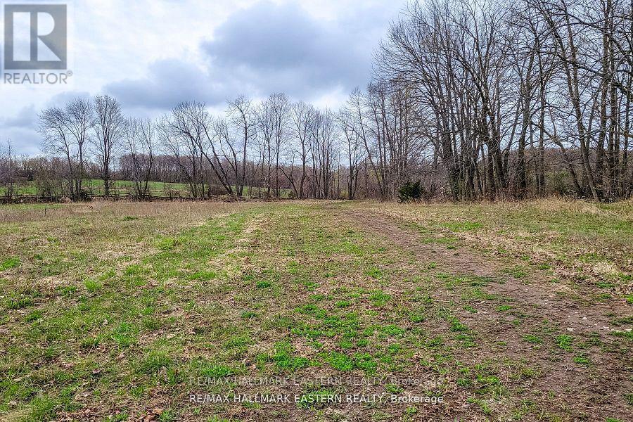 1737 Thirteenth Line, Selwyn, Ontario  K0L 2H0 - Photo 20 - X12949608