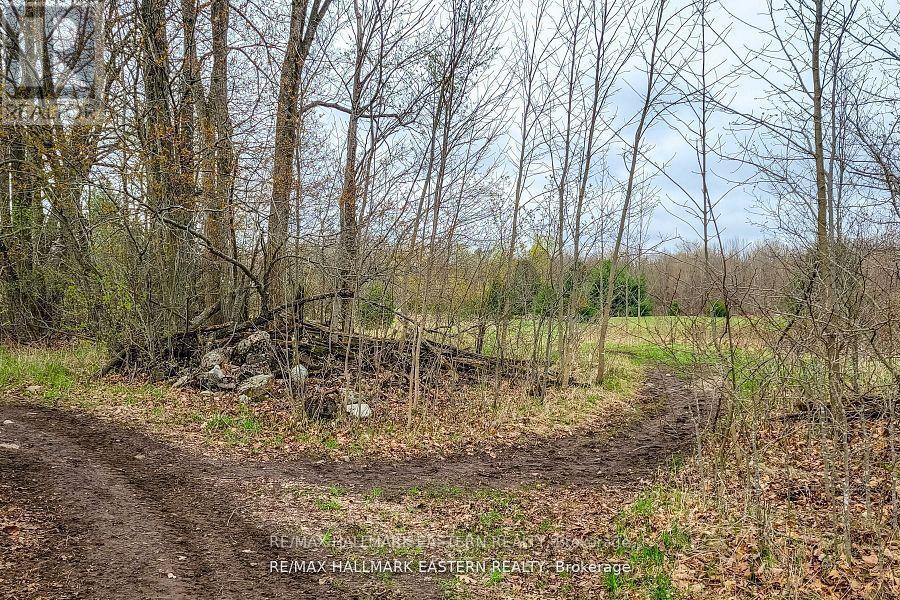 1737 Thirteenth Line, Selwyn, Ontario  K0L 2H0 - Photo 21 - X12949608