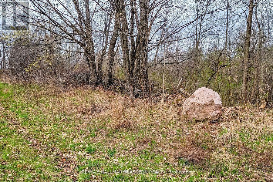 1737 Thirteenth Line, Selwyn, Ontario  K0L 2H0 - Photo 23 - X12949608