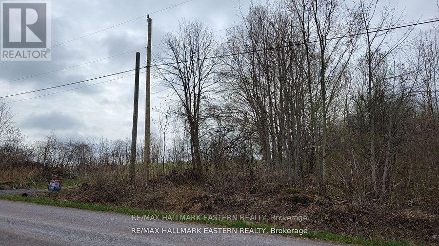 1737 Thirteenth Line, Selwyn, Ontario  K0L 2H0 - Photo 27 - X12949608