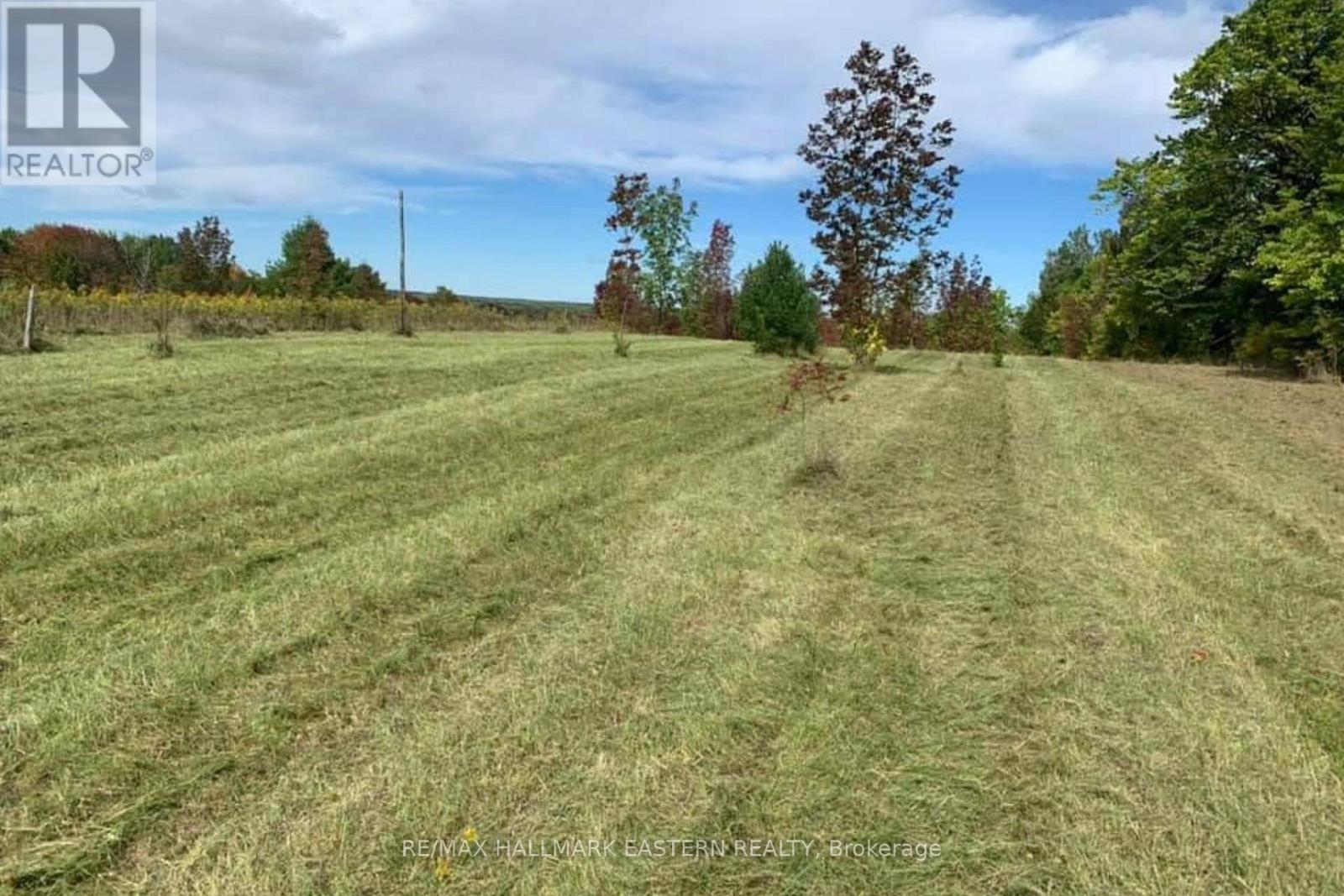 1737 Thirteenth Line, Selwyn, Ontario  K0L 2H0 - Photo 5 - X12949608