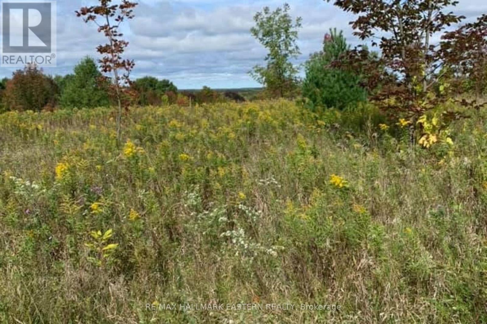 1737 Thirteenth Line, Selwyn, Ontario  K0L 2H0 - Photo 6 - X12949608