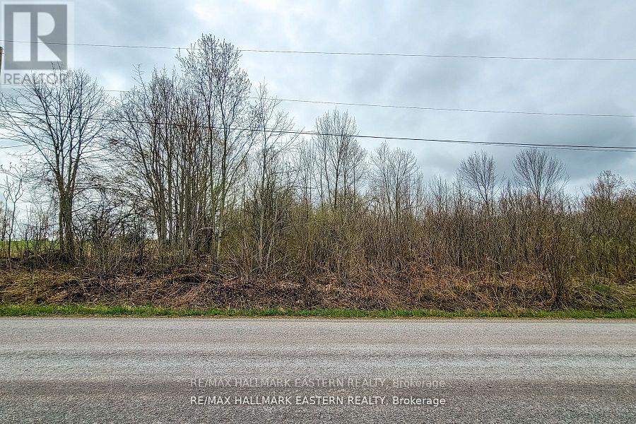 1737 Thirteenth Line, Selwyn, Ontario  K0L 2H0 - Photo 8 - X12949608