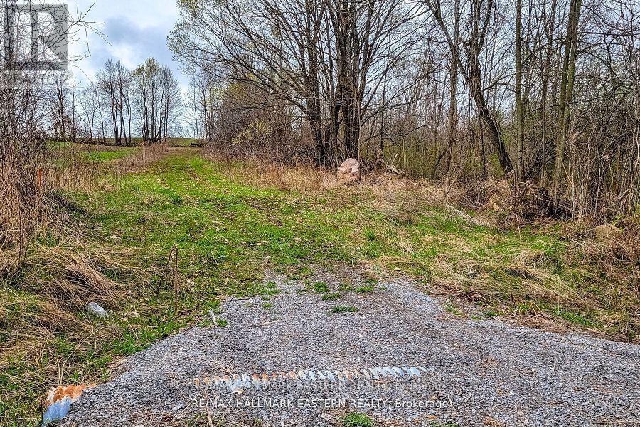 1737 Thirteenth Line, Selwyn, Ontario  K0L 2H0 - Photo 9 - X12949608