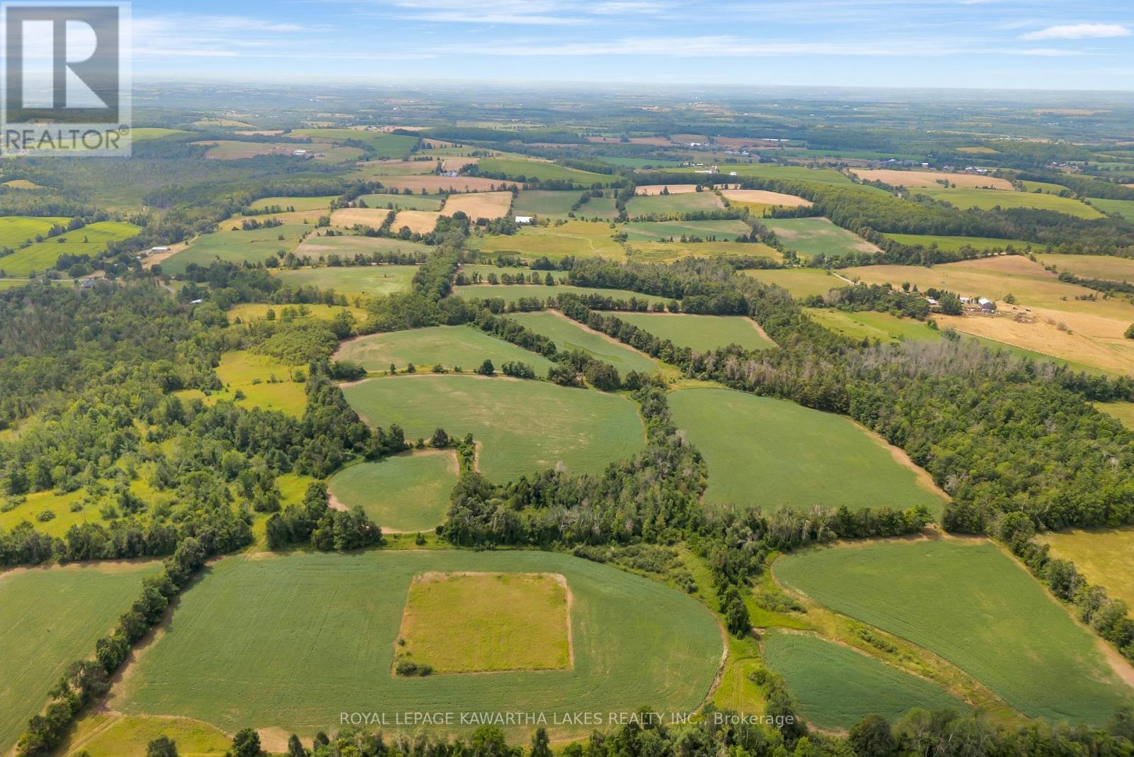 1707 Blezard Line E, Otonabee-South Monaghan, Ontario  K0L 2B0 - Photo 9 - X12949676