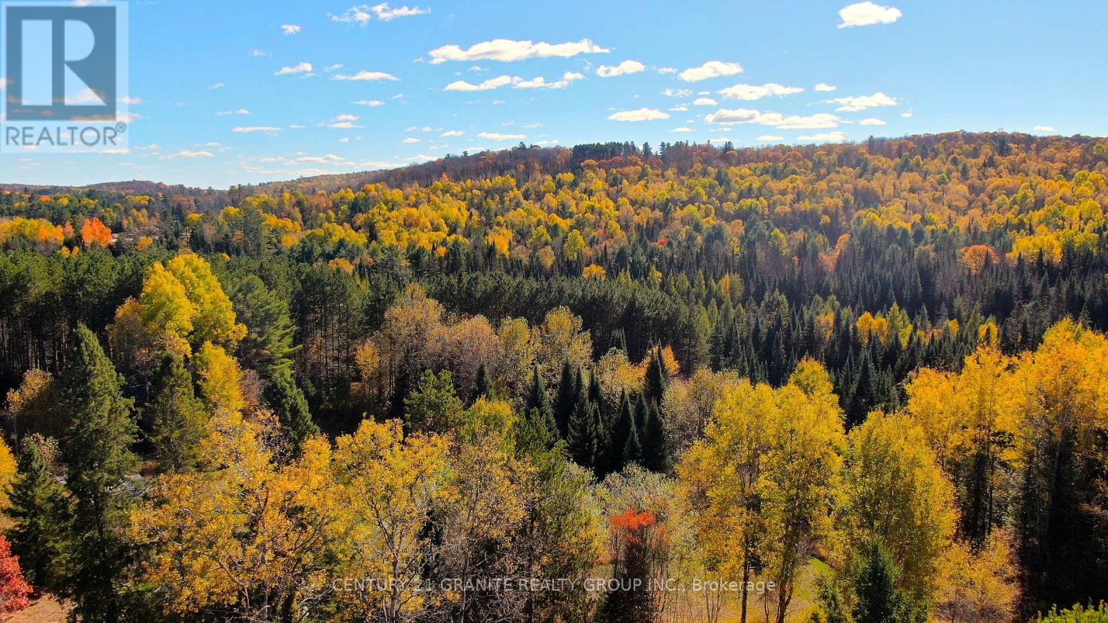 178 Gaebel Road, Bancroft (Bancroft Ward), Ontario  K0L 1C0 - Photo 10 - X12949868