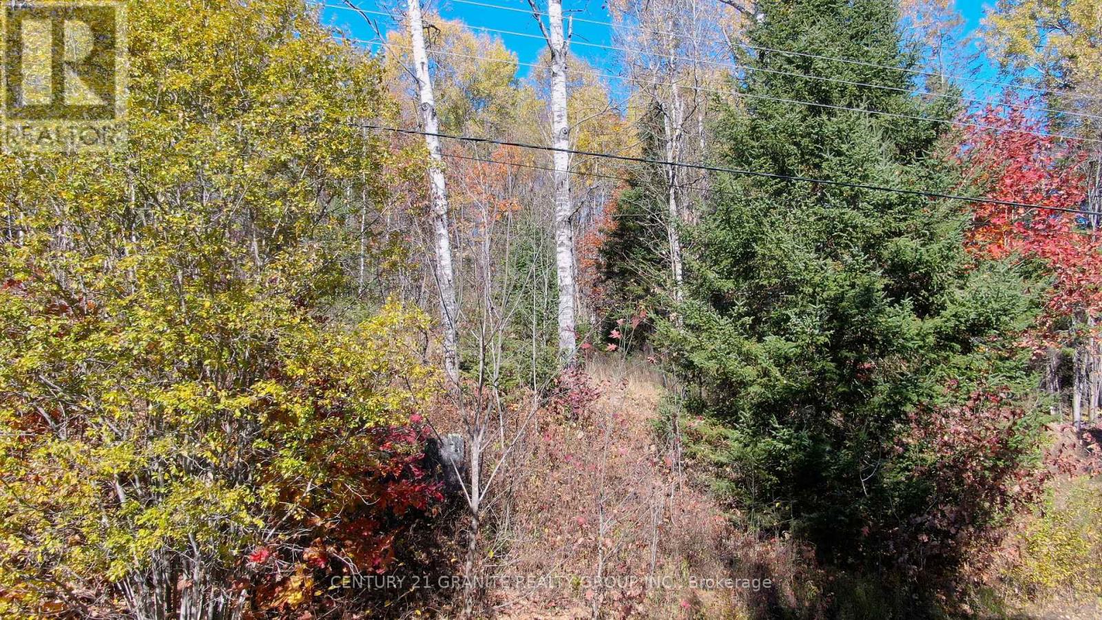 178 Gaebel Road, Bancroft (Bancroft Ward), Ontario  K0L 1C0 - Photo 12 - X12949868