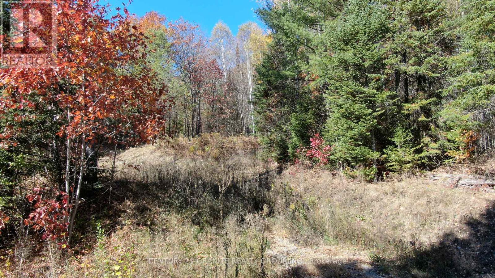 178 Gaebel Road, Bancroft (Bancroft Ward), Ontario  K0L 1C0 - Photo 13 - X12949868