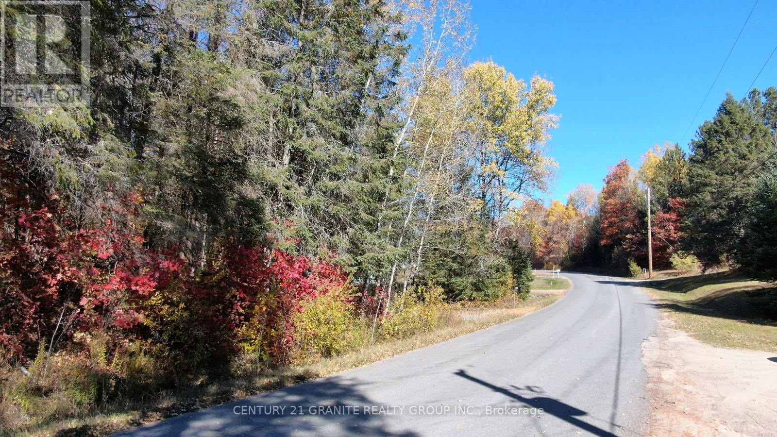 178 Gaebel Road, Bancroft (Bancroft Ward), Ontario  K0L 1C0 - Photo 14 - X12949868