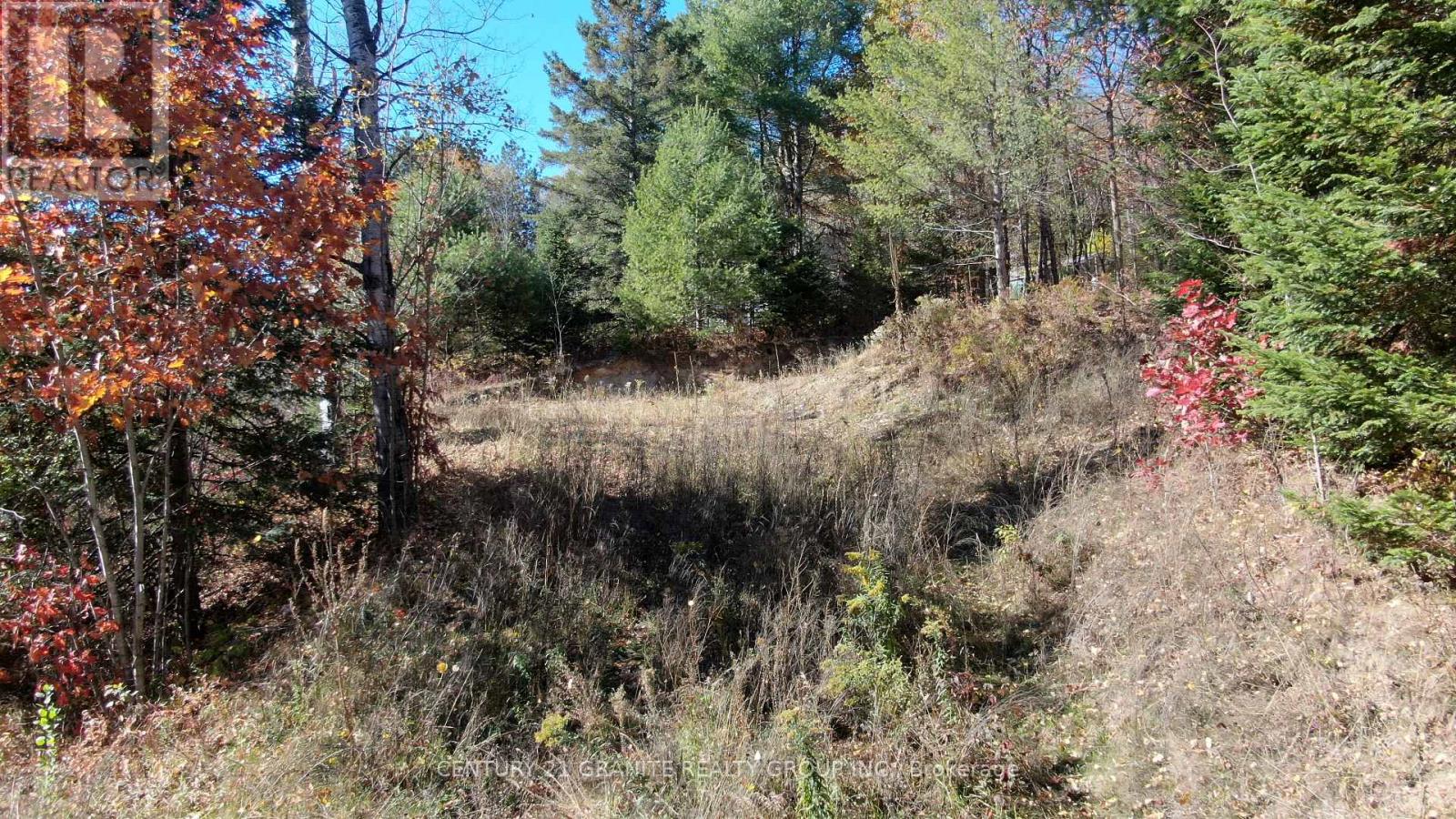 178 Gaebel Road, Bancroft (Bancroft Ward), Ontario  K0L 1C0 - Photo 16 - X12949868