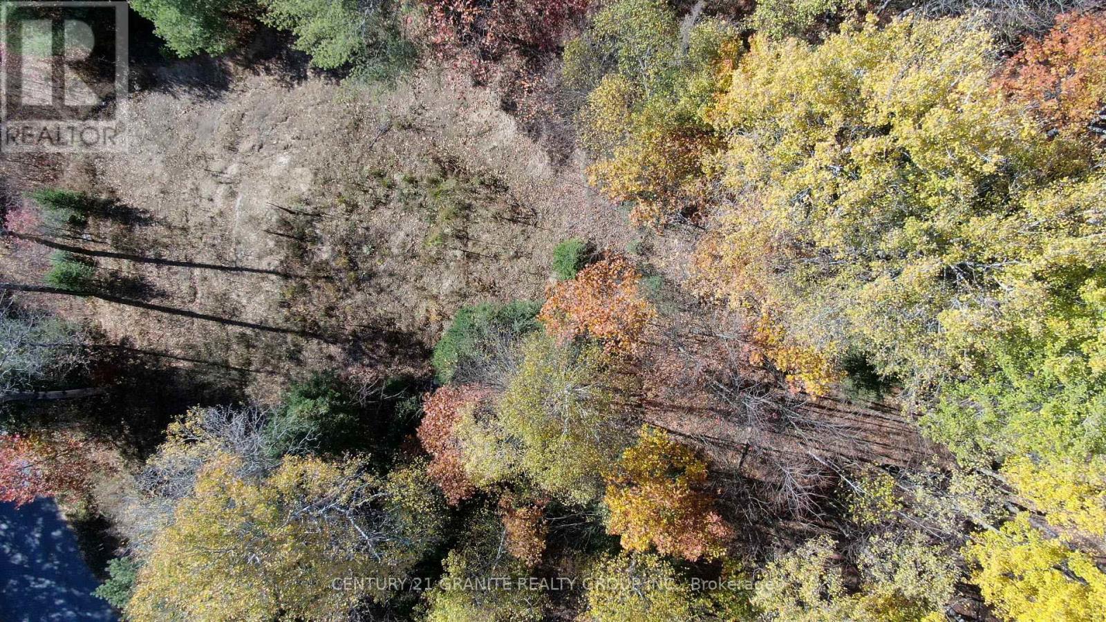 178 Gaebel Road, Bancroft (Bancroft Ward), Ontario  K0L 1C0 - Photo 17 - X12949868