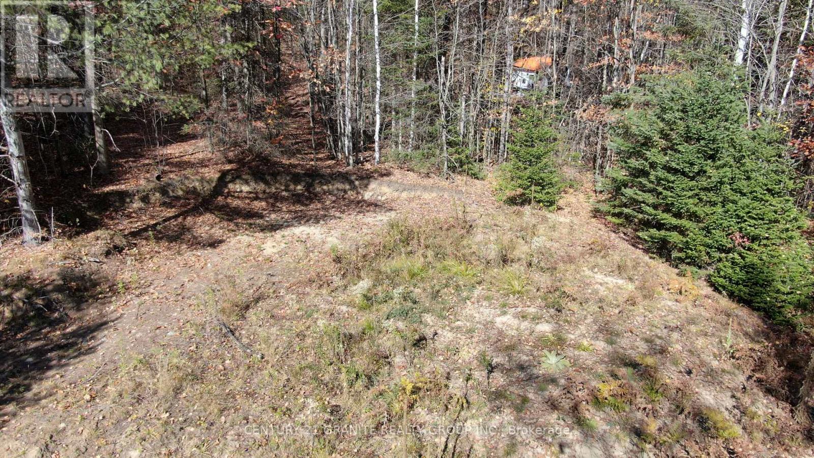 178 Gaebel Road, Bancroft (Bancroft Ward), Ontario  K0L 1C0 - Photo 4 - X12949868