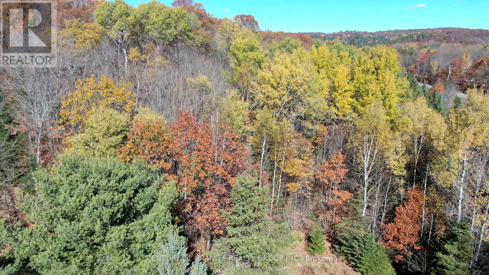 178 Gaebel Road, Bancroft (Bancroft Ward), Ontario  K0L 1C0 - Photo 8 - X12949868