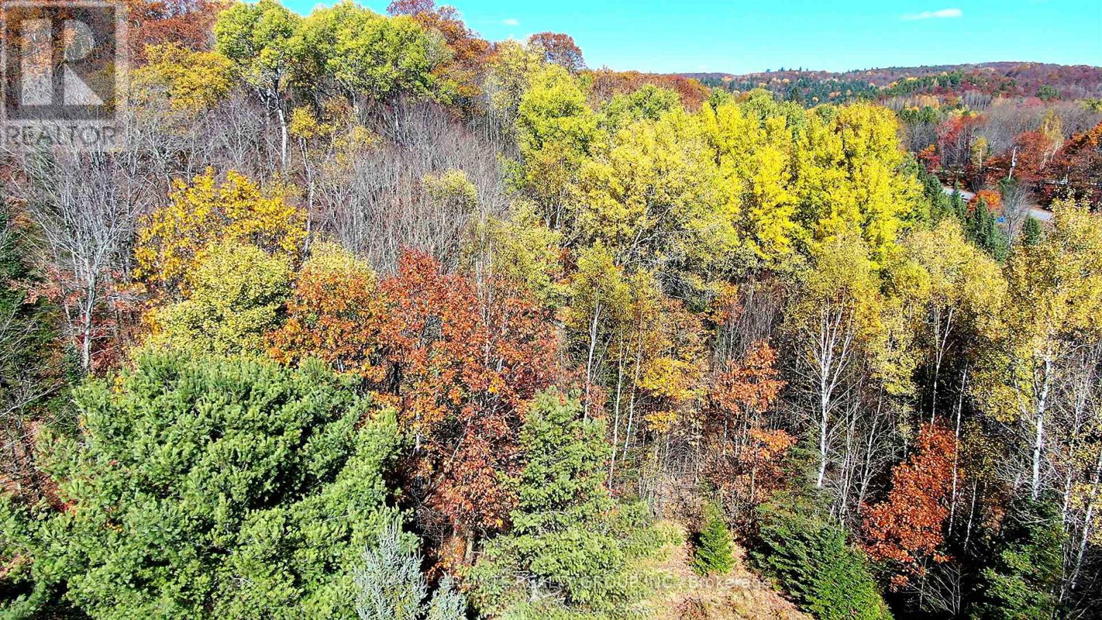 178 Gaebel Road, Bancroft (Bancroft Ward), Ontario  K0L 1C0 - Photo 9 - X12949868