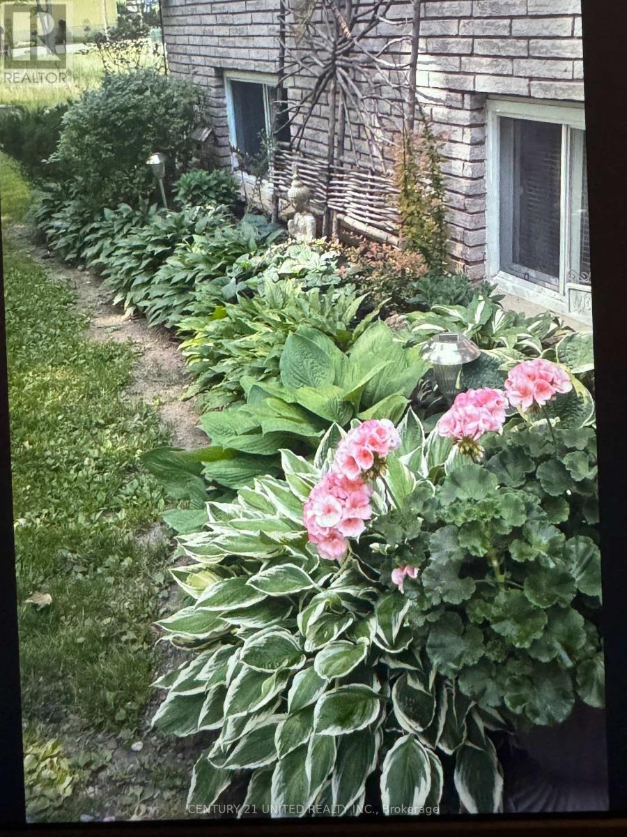 524 Hillside Drive, Trent Hills, Ontario  K0L 1L0 - Photo 45 - X12951870