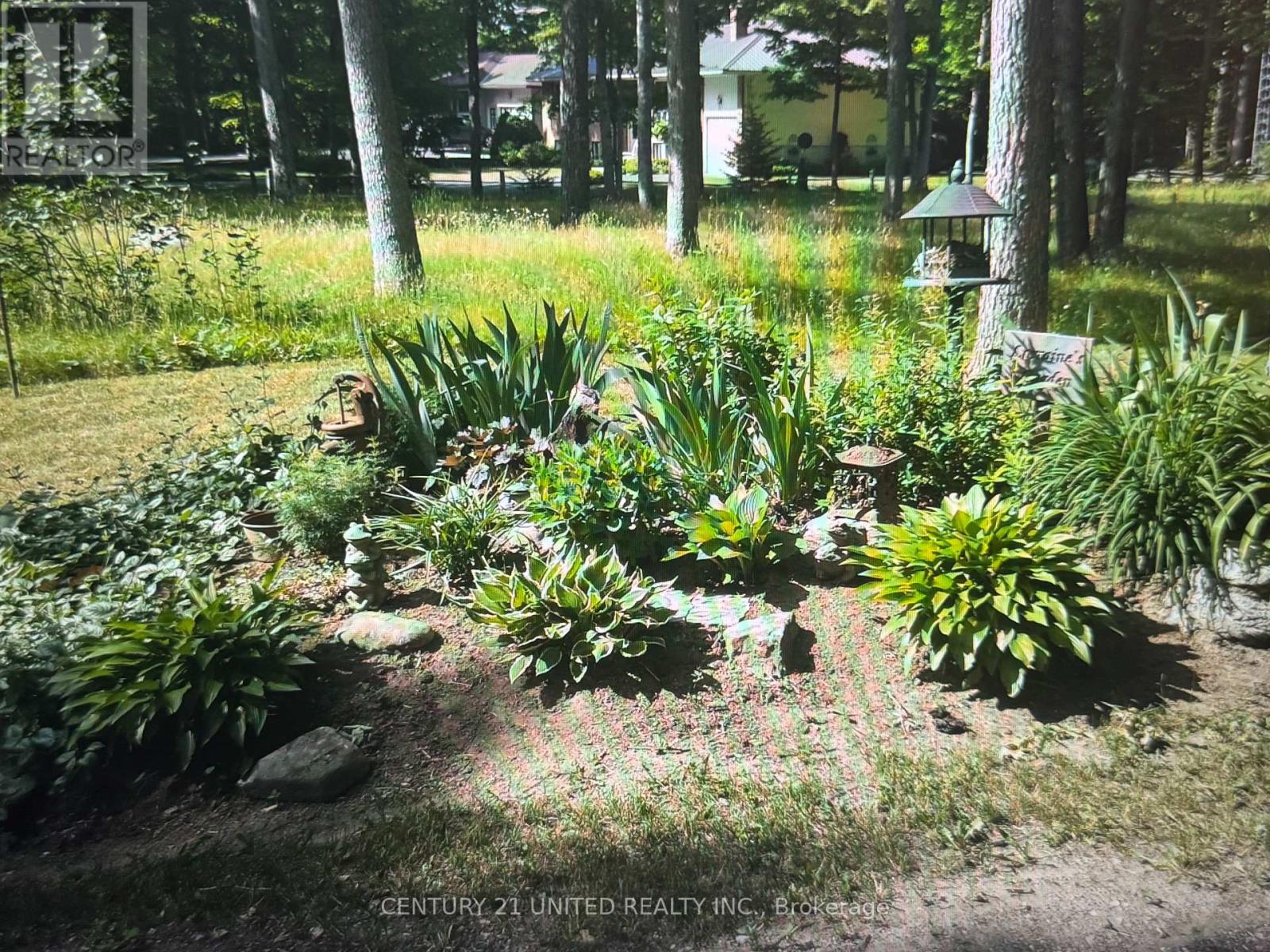 524 Hillside Drive, Trent Hills, Ontario  K0L 1L0 - Photo 47 - X12951870