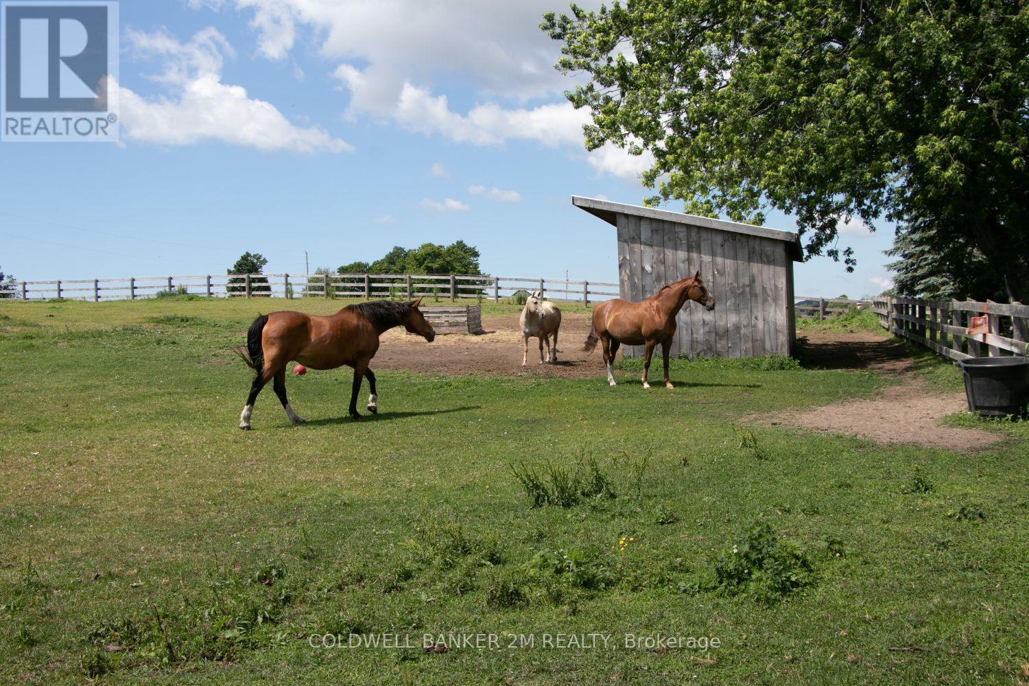 5728 Gilmore Road, Clarington, Ontario  L0A 1J0 - Photo 43 - E12956164