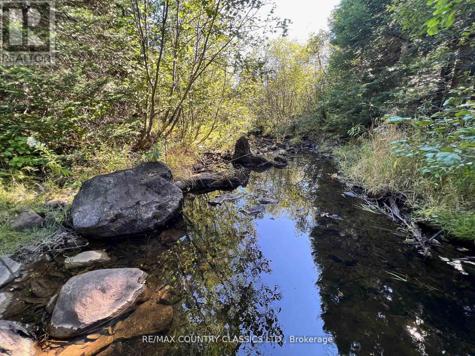 634 Lower Turriff Road, Bancroft (Dungannon Ward), Ontario  K0L 2L0 - Photo 11 - X12960390