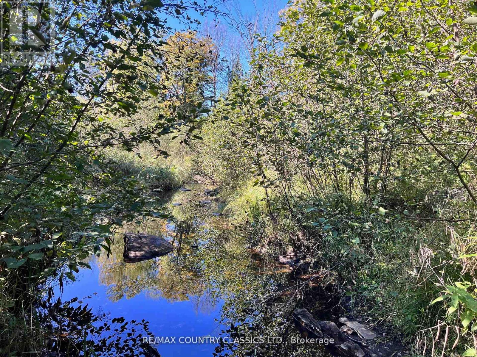 634 Lower Turriff Road, Bancroft (Dungannon Ward), Ontario  K0L 2L0 - Photo 12 - X12960390