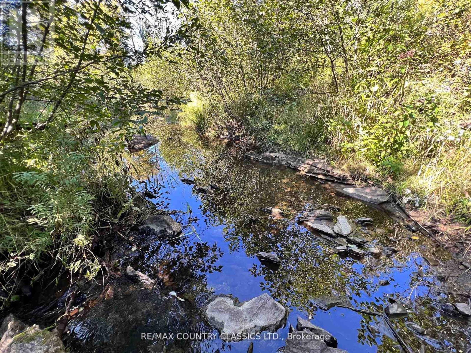 634 Lower Turriff Road, Bancroft (Dungannon Ward), Ontario  K0L 2L0 - Photo 13 - X12960390