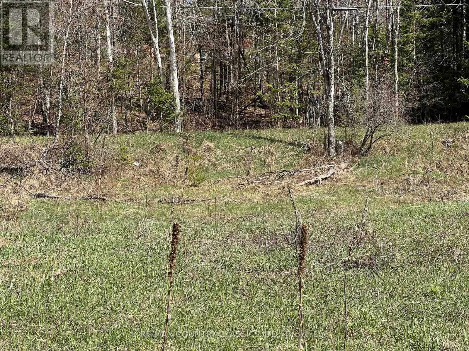 634 Lower Turriff Road, Bancroft (Dungannon Ward), Ontario  K0L 2L0 - Photo 31 - X12960390