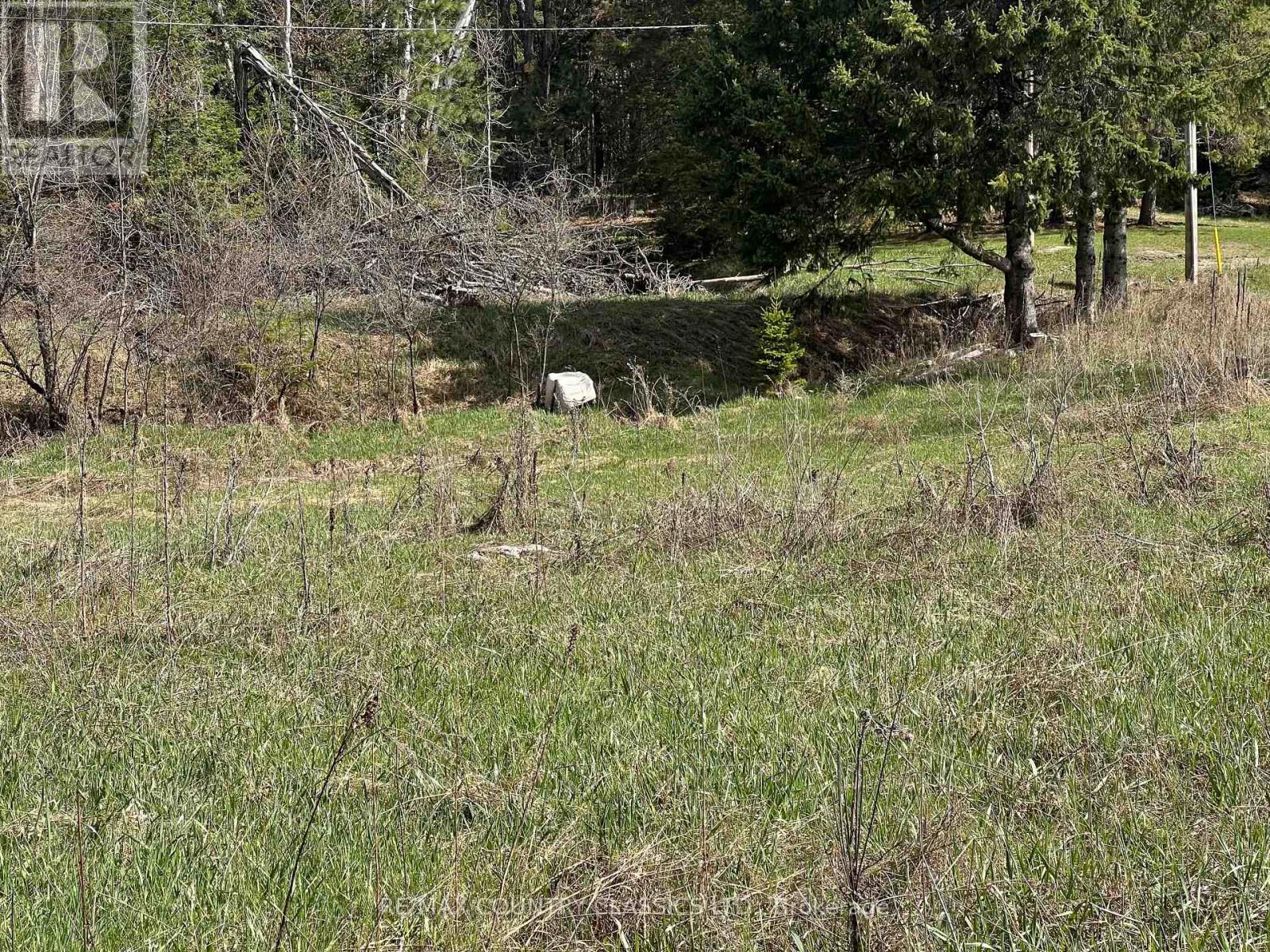634 Lower Turriff Road, Bancroft (Dungannon Ward), Ontario  K0L 2L0 - Photo 32 - X12960390