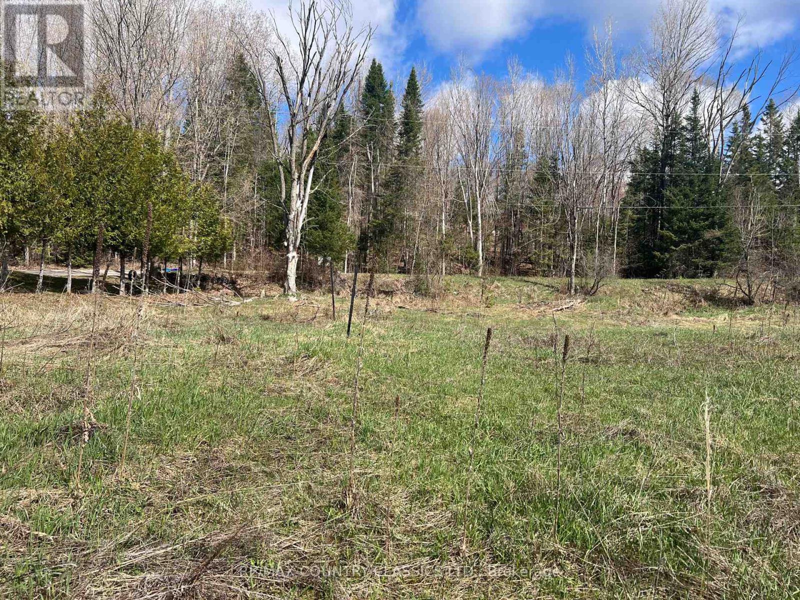 634 Lower Turriff Road, Bancroft (Dungannon Ward), Ontario  K0L 2L0 - Photo 34 - X12960390