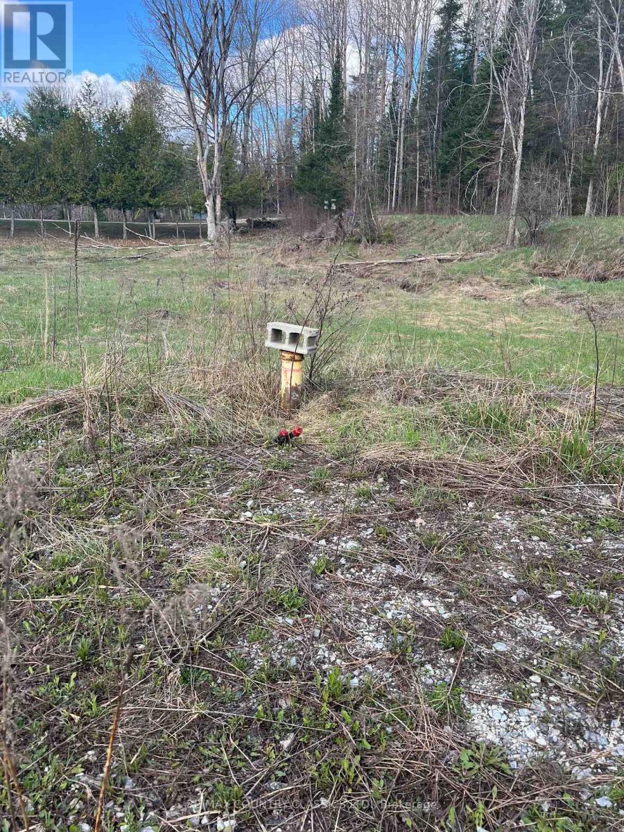 634 Lower Turriff Road, Bancroft (Dungannon Ward), Ontario  K0L 2L0 - Photo 37 - X12960390