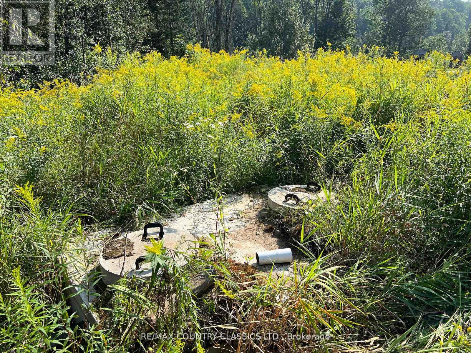 634 Lower Turriff Road, Bancroft (Dungannon Ward), Ontario  K0L 2L0 - Photo 7 - X12960390