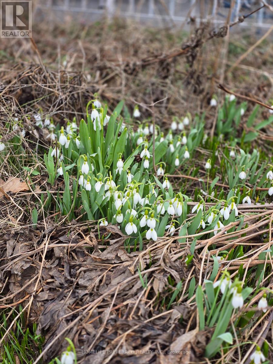 768 Water Street, Peterborough (Northcrest Ward 5), Ontario  K9H 3N6 - Photo 47 - X12963632