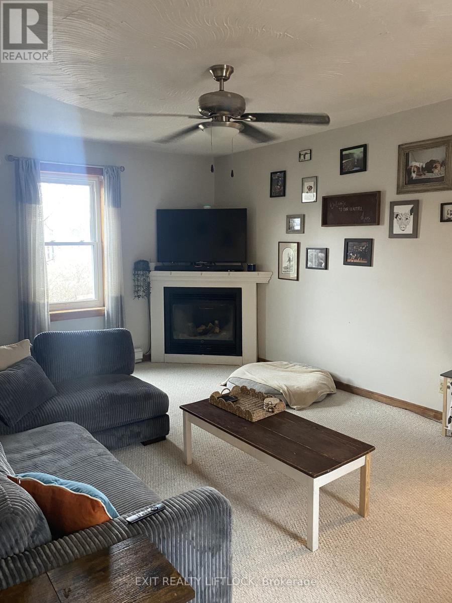 29 Hamilton Street, Kawartha Lakes (Lindsay), Ontario  K9V 3E4 - Photo 14 - X12964038