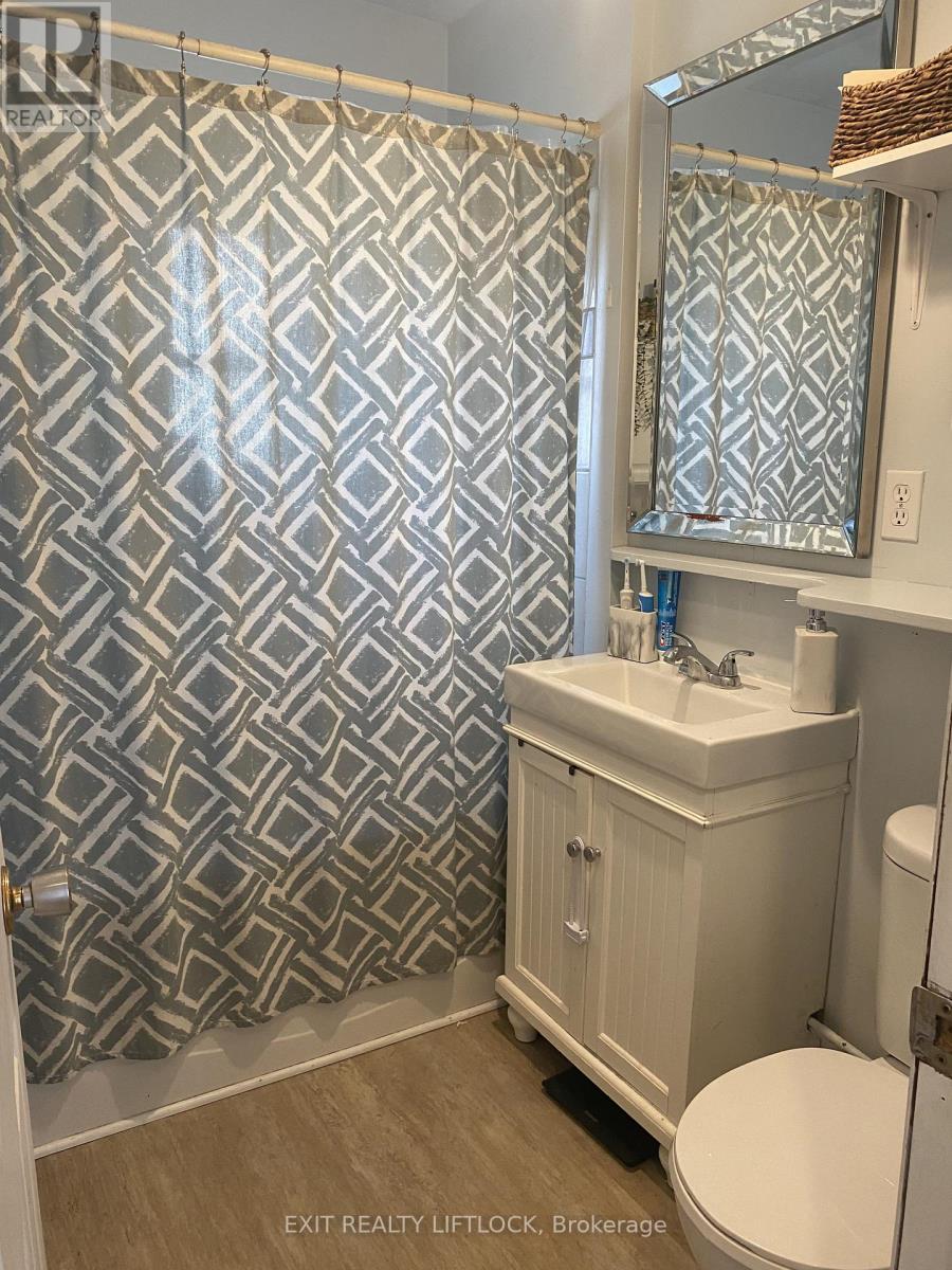 29 Hamilton Street, Kawartha Lakes (Lindsay), Ontario  K9V 3E4 - Photo 17 - X12964038