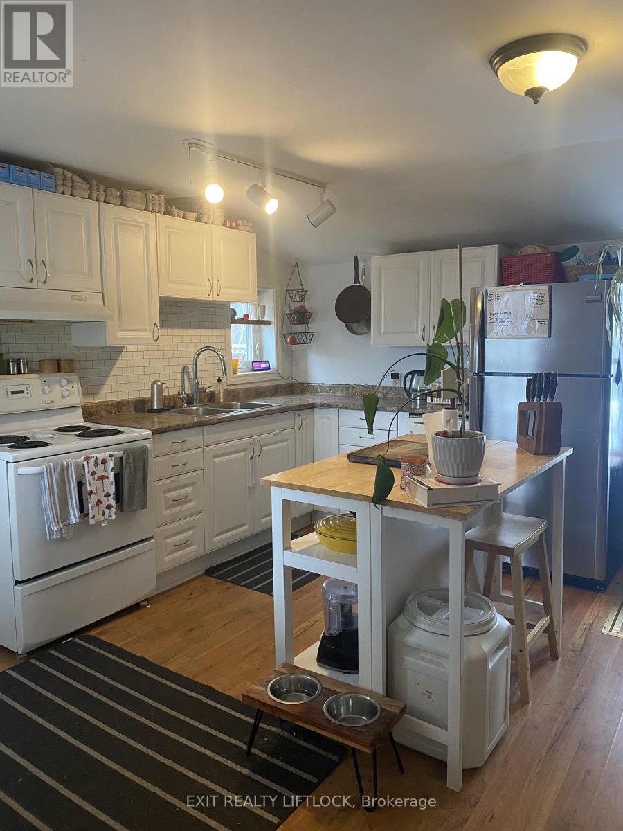 29 Hamilton Street, Kawartha Lakes (Lindsay), Ontario  K9V 3E4 - Photo 4 - X12964038