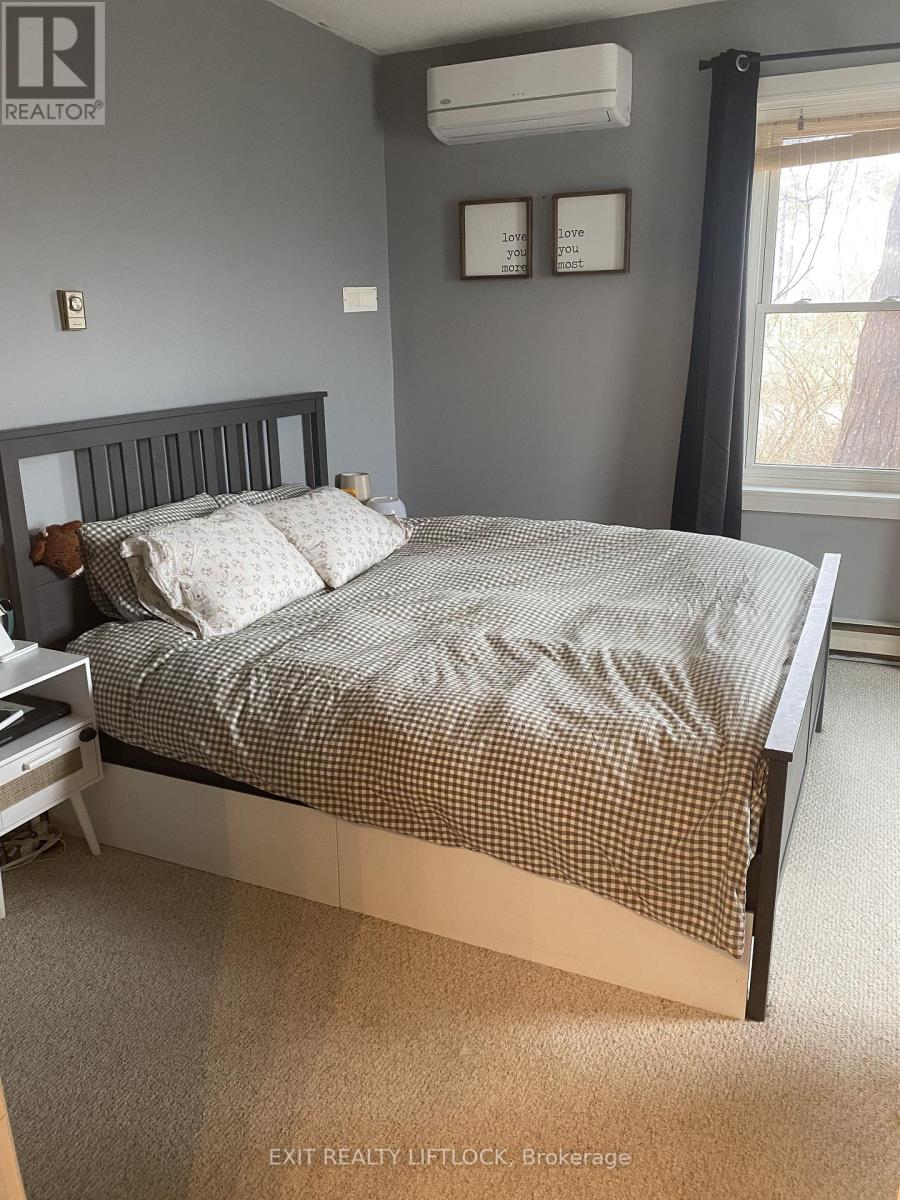 29 Hamilton Street, Kawartha Lakes (Lindsay), Ontario  K9V 3E4 - Photo 7 - X12964038