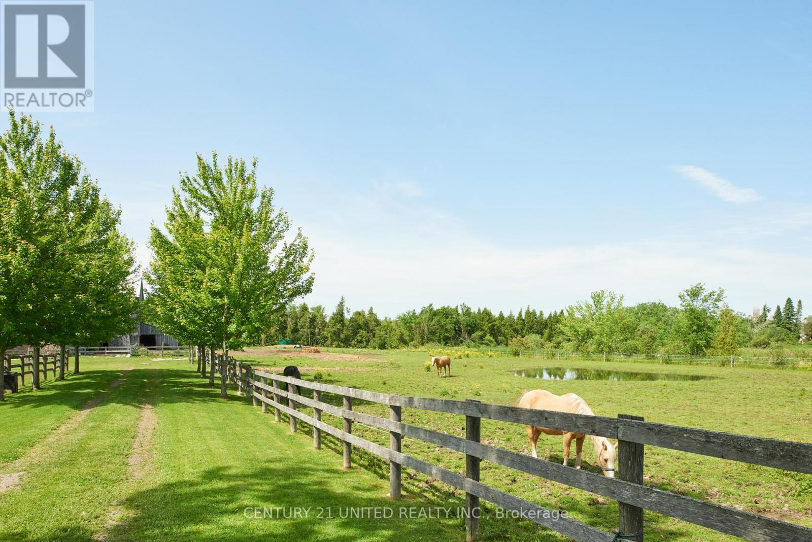 1662 11th Line, Selwyn, Ontario  K0L 2H0 - Photo 39 - X12964428