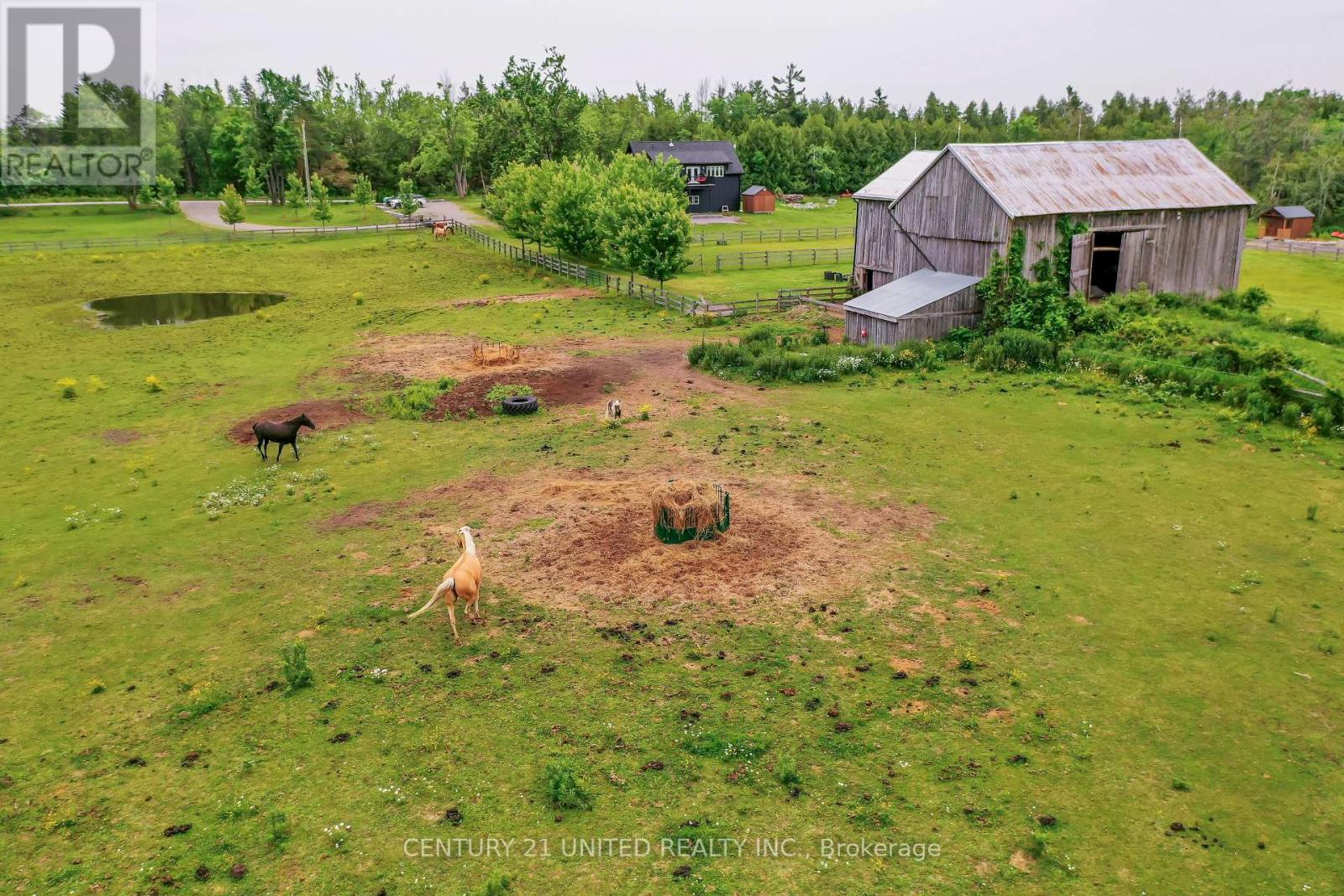 1662 11th Line, Selwyn, Ontario  K0L 2H0 - Photo 46 - X12964428