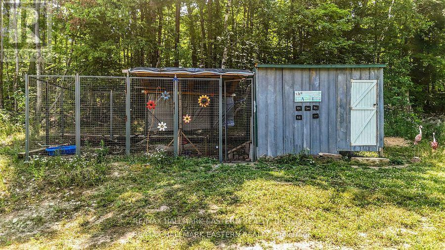 47 Vansickle Trail, Havelock-Belmont-Methuen, Ontario  K0L 1Z0 - Photo 5 - X12965270