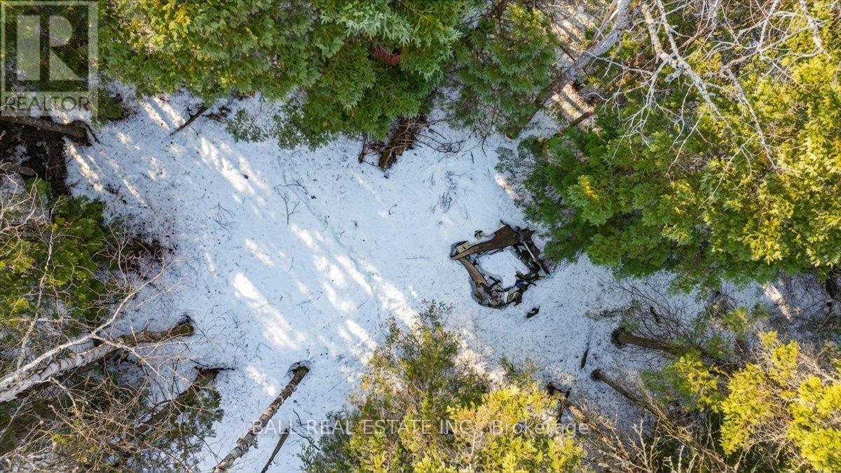 Pt Lt 9-10 Conc 7 Egan Court, Bancroft (Dungannon Ward), Ontario  K0L 1C0 - Photo 3 - X12965558