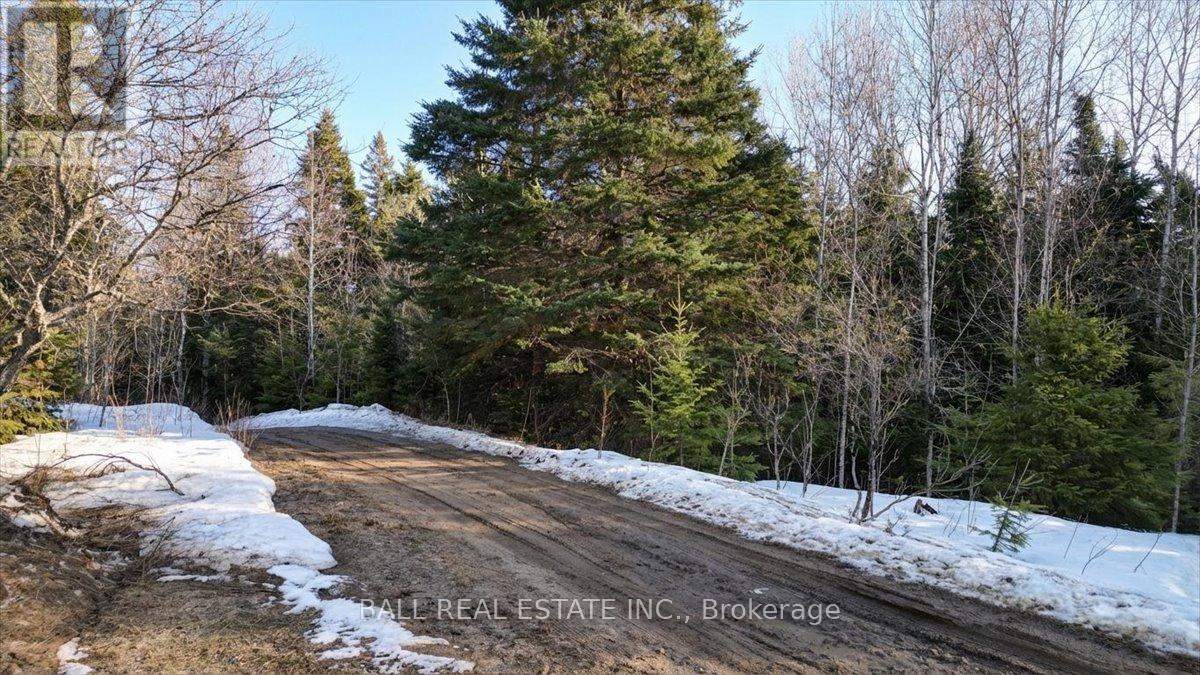 Pt Lt 9-10 Conc 7 Egan Court, Bancroft (Dungannon Ward), Ontario  K0L 1C0 - Photo 4 - X12965558