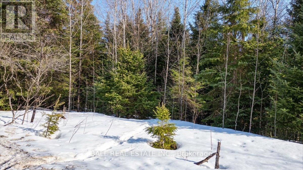 Pt Lt 9-10 Conc 7 Egan Court, Bancroft (Dungannon Ward), Ontario  K0L 1C0 - Photo 5 - X12965558