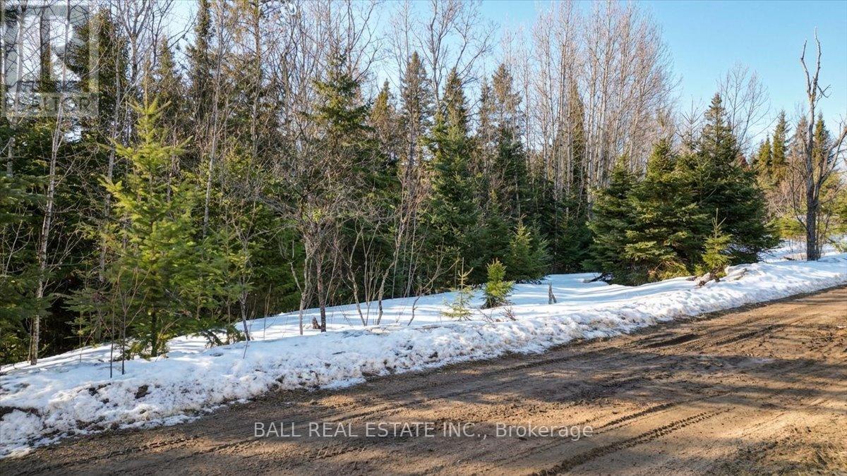 Pt Lt 9-10 Conc 7 Egan Court, Bancroft (Dungannon Ward), Ontario  K0L 1C0 - Photo 7 - X12965558