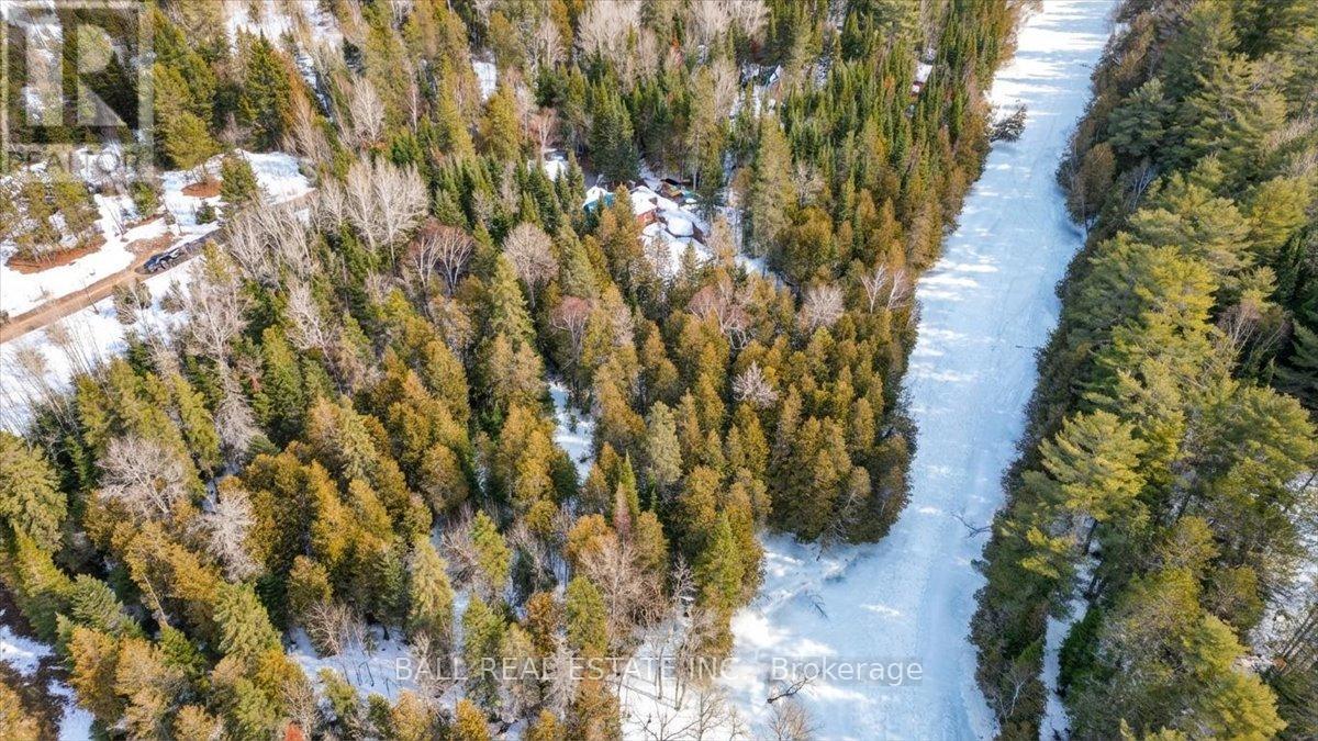 Pt Lt 9-10 Conc 7 Egan Court, Bancroft (Dungannon Ward), Ontario  K0L 1C0 - Photo 8 - X12965558