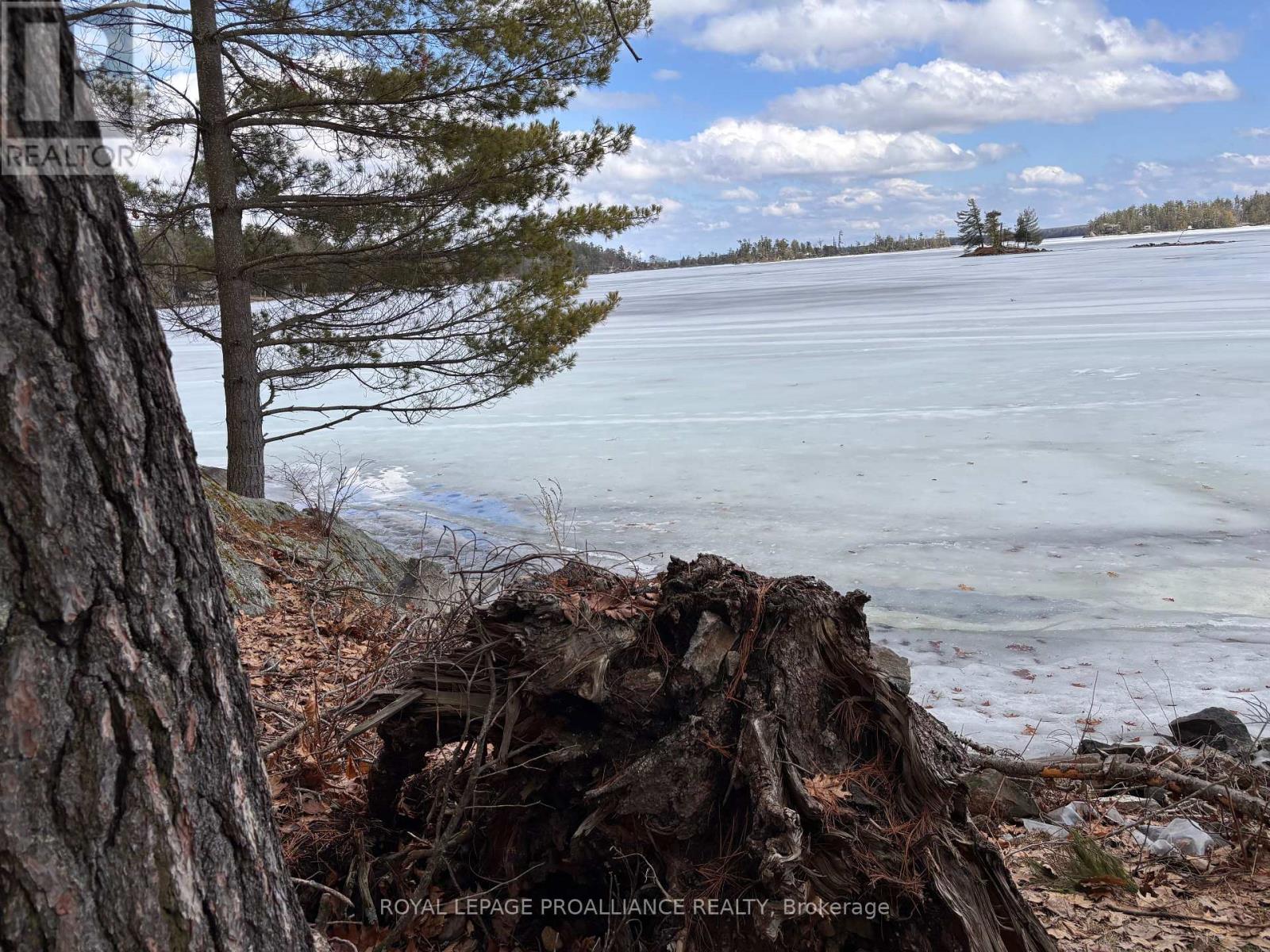 71 Fire 15 Route, North Kawartha, Ontario  K0L 3E0 - Photo 20 - X12966162