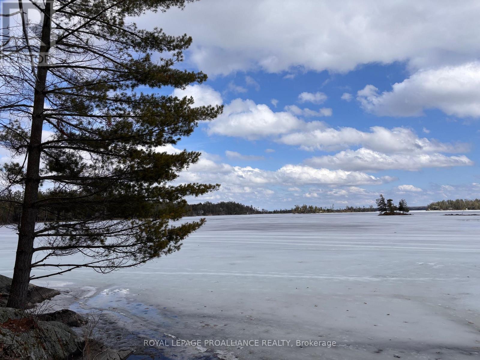 71 Fire 15 Route, North Kawartha, Ontario  K0L 3E0 - Photo 21 - X12966162