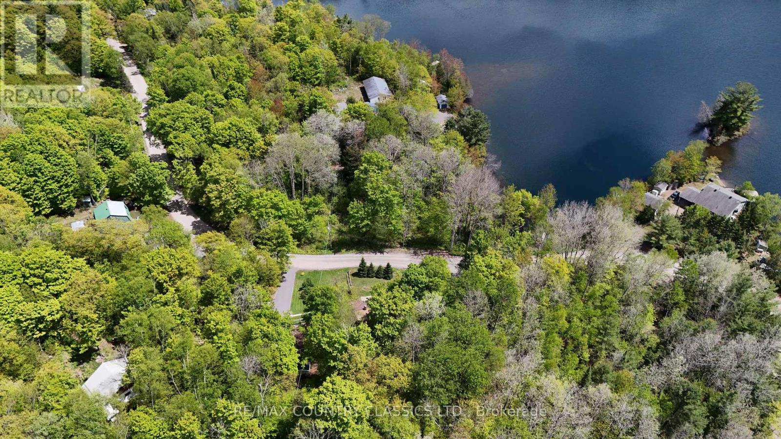 164 Trout Lake Road, Faraday, Ontario  K0L 1C0 - Photo 7 - X12967018