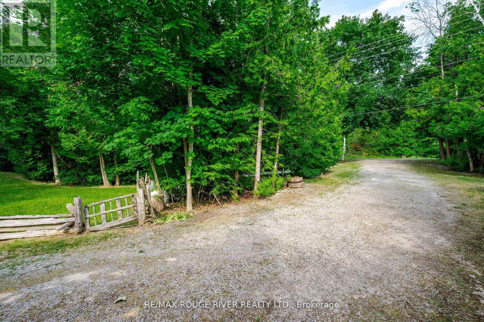 1280 Birchview Road, Douro-Dummer, Ontario  K0L 2H0 - Photo 16 - X12967874