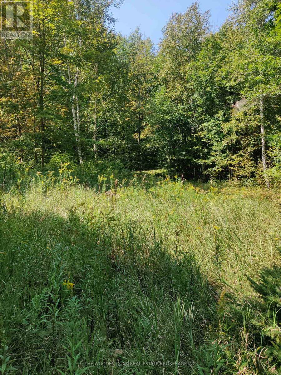 0east1 Road Allowance Road, Havelock-Belmont-Methuen (Belmont-Methuen), Ontario  K0L 1Z0 - Photo 3 - X12969960