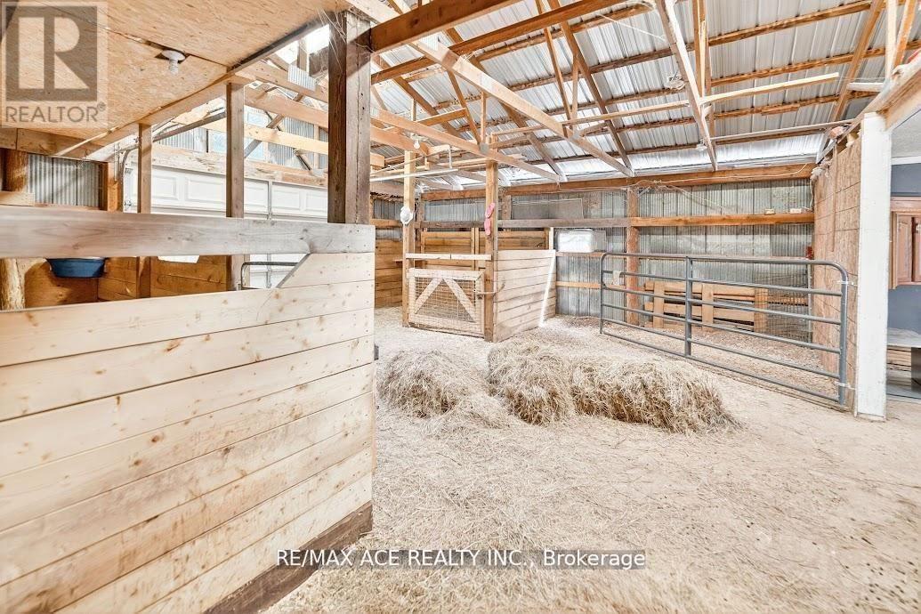 2425 North School Road, Havelock-Belmont-Methuen (Havelock), Ontario  K0L 1Z0 - Photo 25 - X12970600