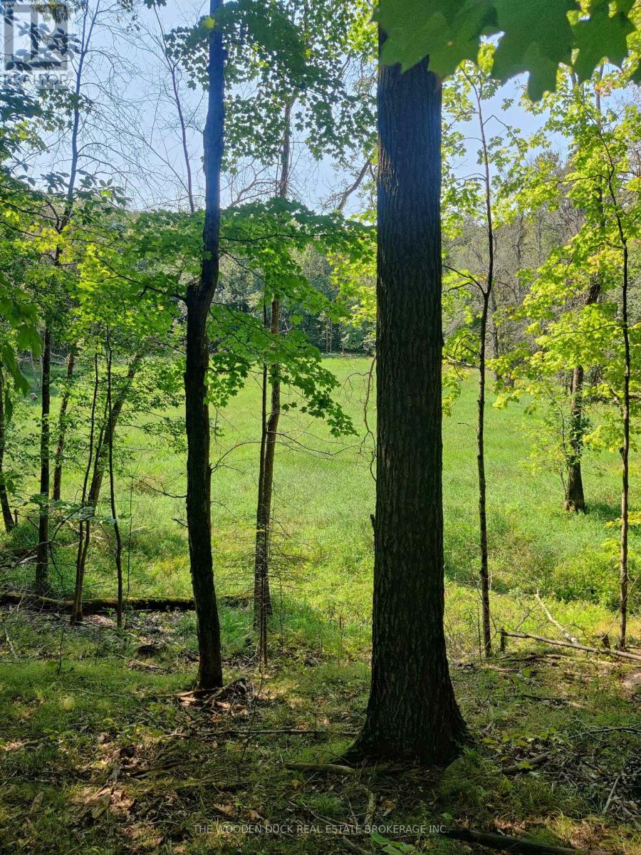 0east2 Road Allowance Road, Havelock-Belmont-Methuen (Belmont-Methuen), Ontario  K0L 1Z0 - Photo 2 - X12970720