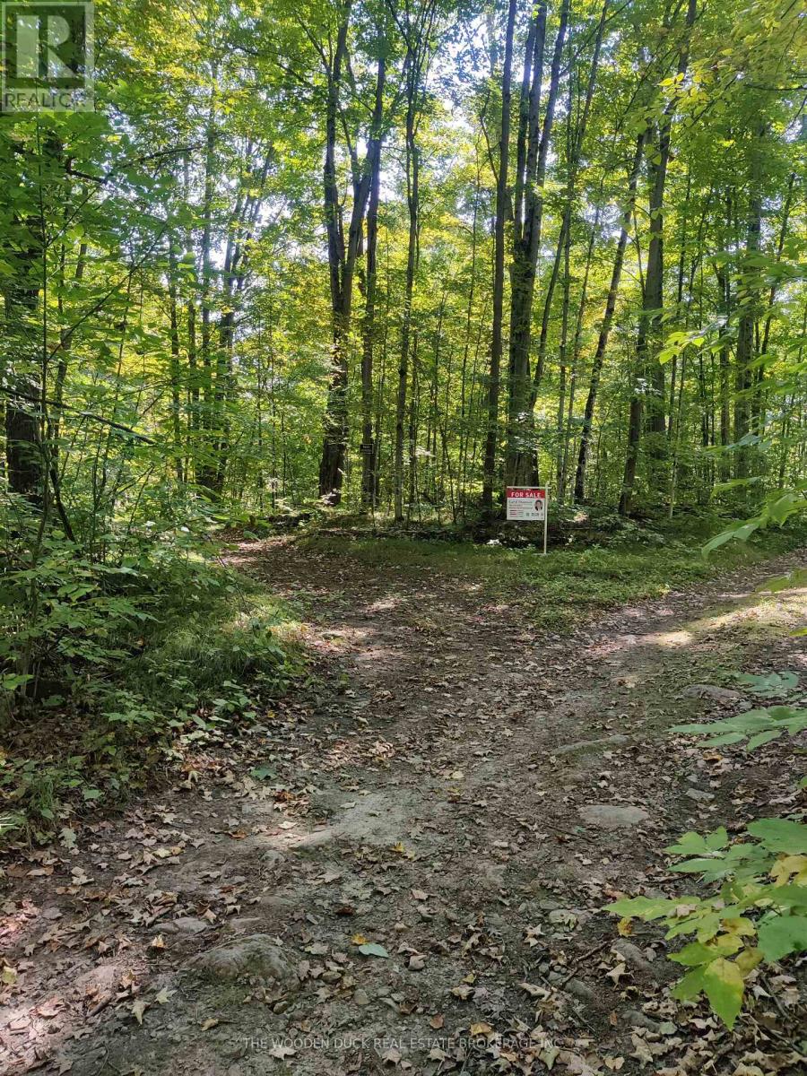 0east2 Road Allowance Road, Havelock-Belmont-Methuen (Belmont-Methuen), Ontario  K0L 1Z0 - Photo 4 - X12970720